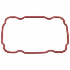 Saeco Guarn Cald Silicone Ptfe/fda (145854259)