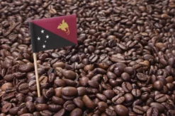 Organic Papua New Guinea 2lb Coffee Beans